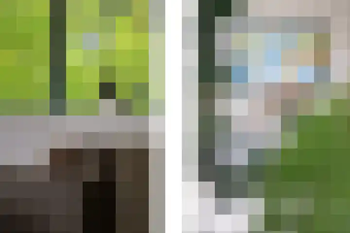 Kralingse Plaslaan 46 Rotterdam thumbnail 8