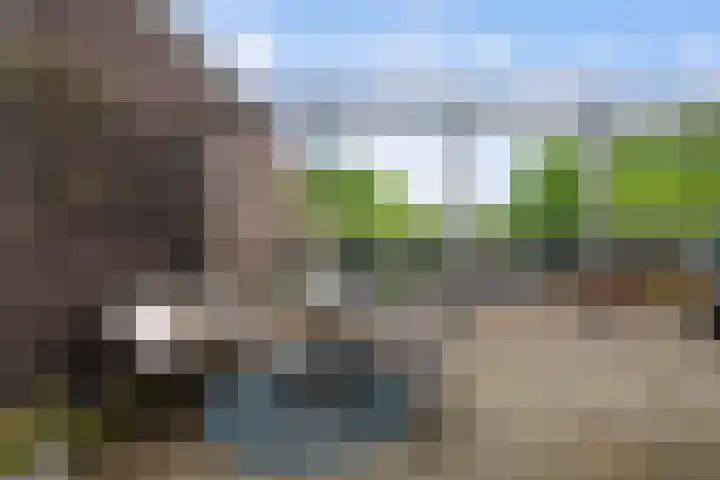 Kralingse Plaslaan 58 A Rotterdam thumbnail 32
