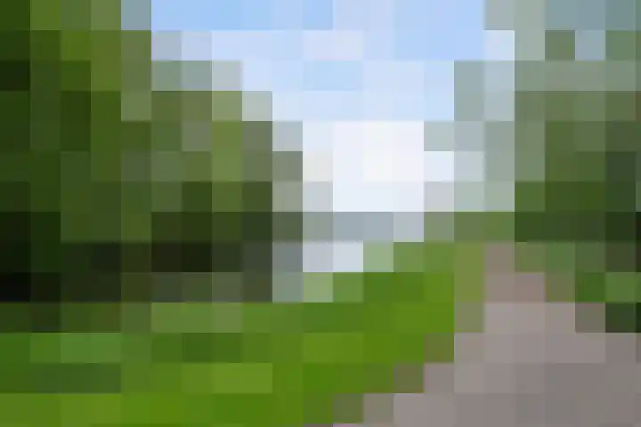 Kralingse Plaslaan 58 A Rotterdam thumbnail 35