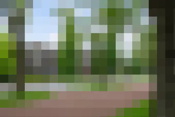 Kralingse Plaslaan 58 A Rotterdam thumbnail 37