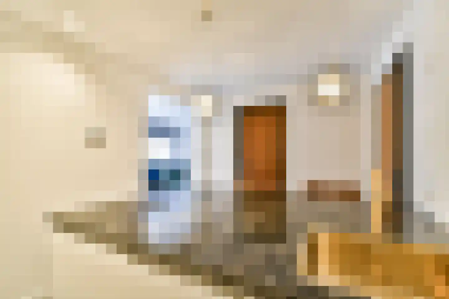 Kralingse Plaslaan 71 Rotterdam thumbnail 16