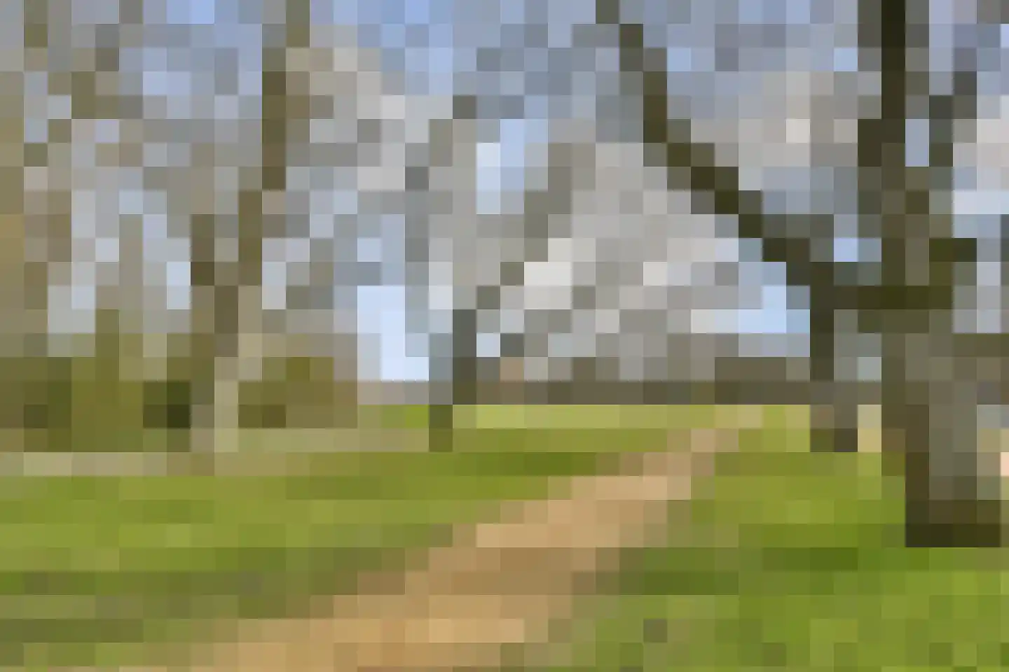 Kralingse Plaslaan 71 Rotterdam thumbnail 26