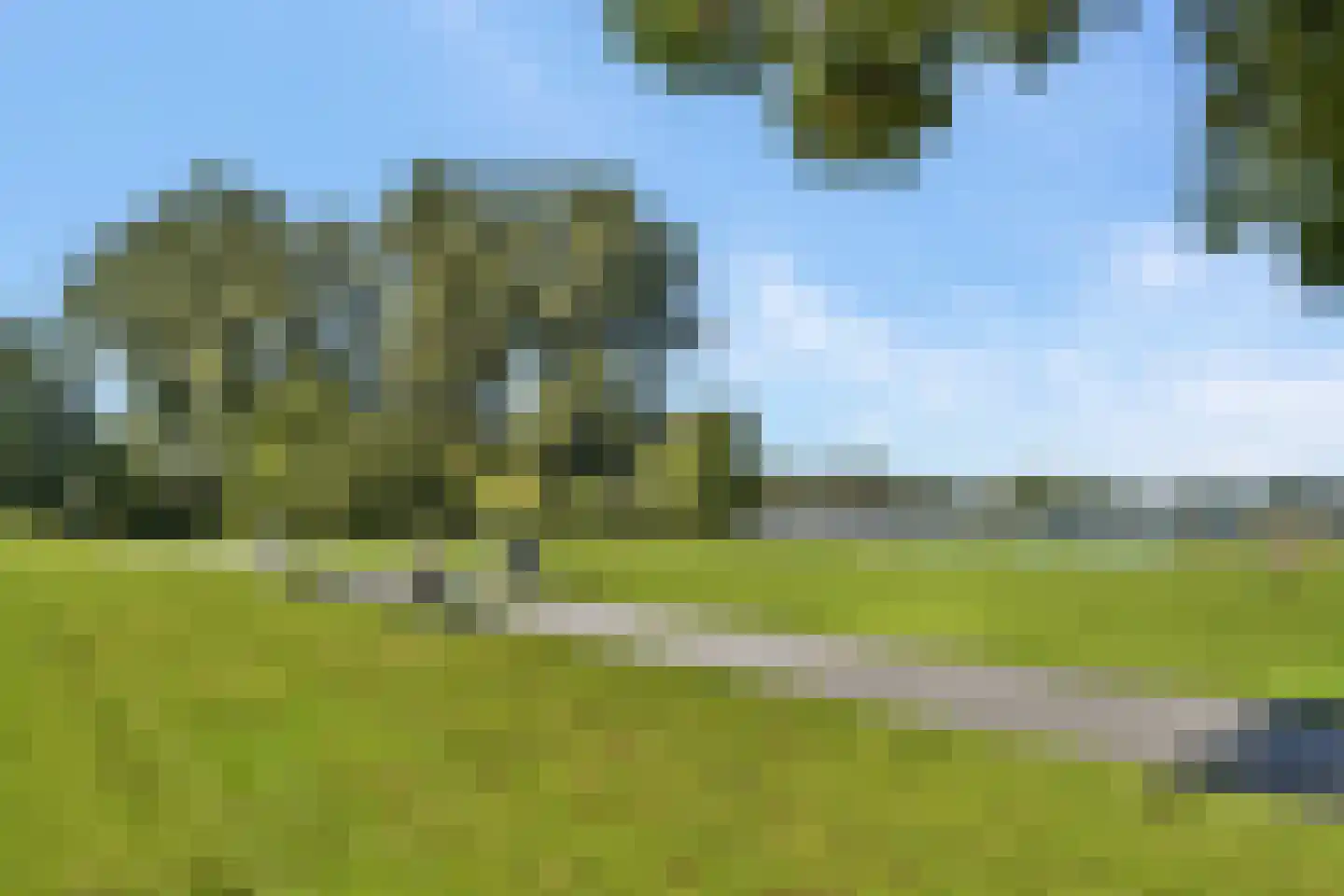 Kralingse Plaslaan 71 Rotterdam thumbnail 4