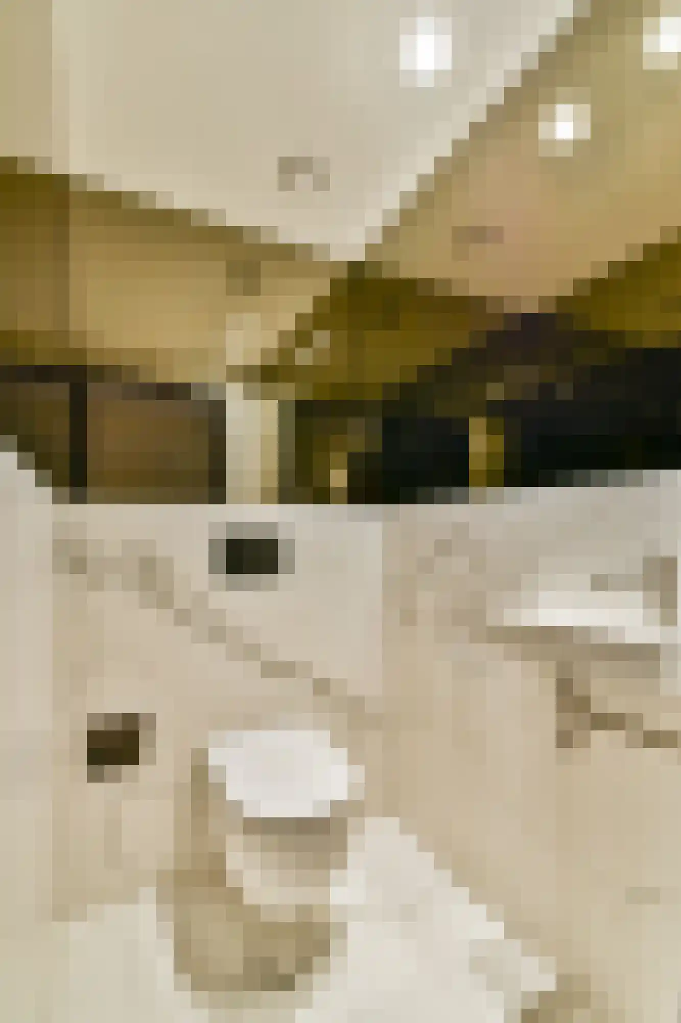 Kralingse Plaslaan 71 Rotterdam thumbnail 8