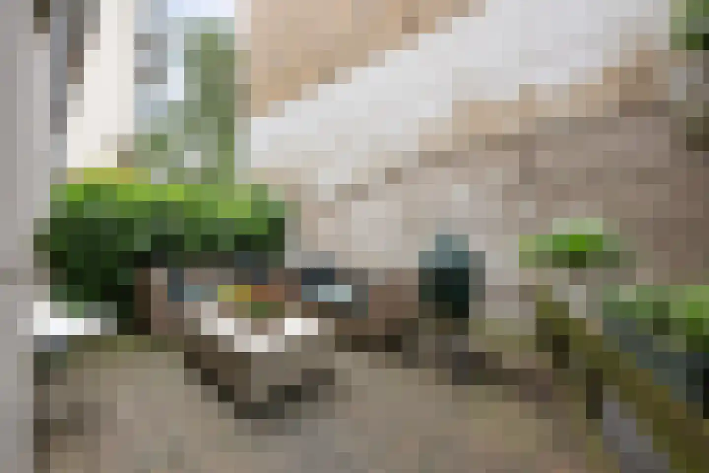 Kralingse Plaslaan 90 Rotterdam thumbnail 16