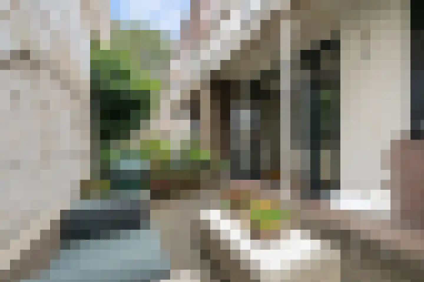 Kralingse Plaslaan 90 Rotterdam thumbnail 17