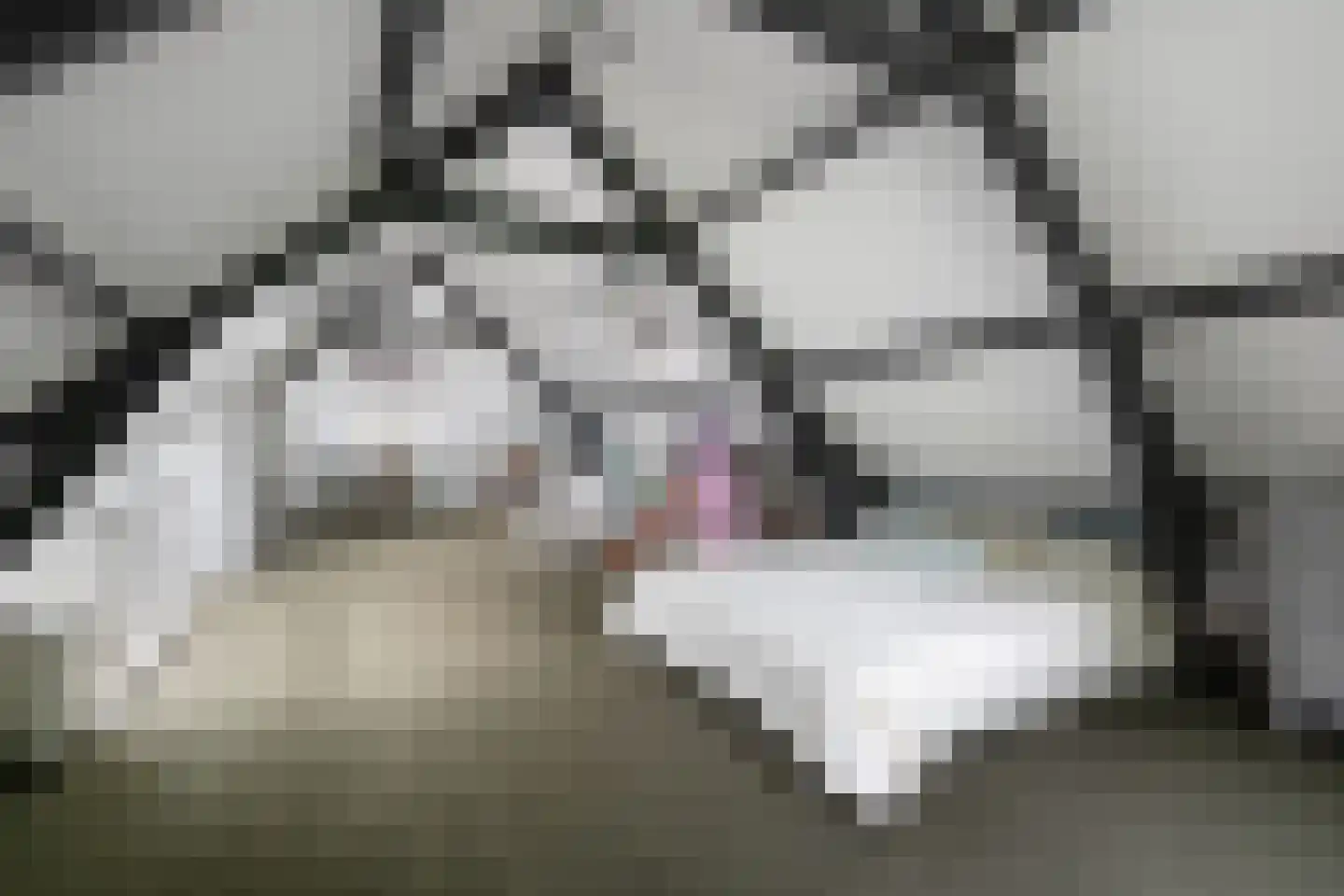 Kralingse Plaslaan 90 Rotterdam thumbnail 32