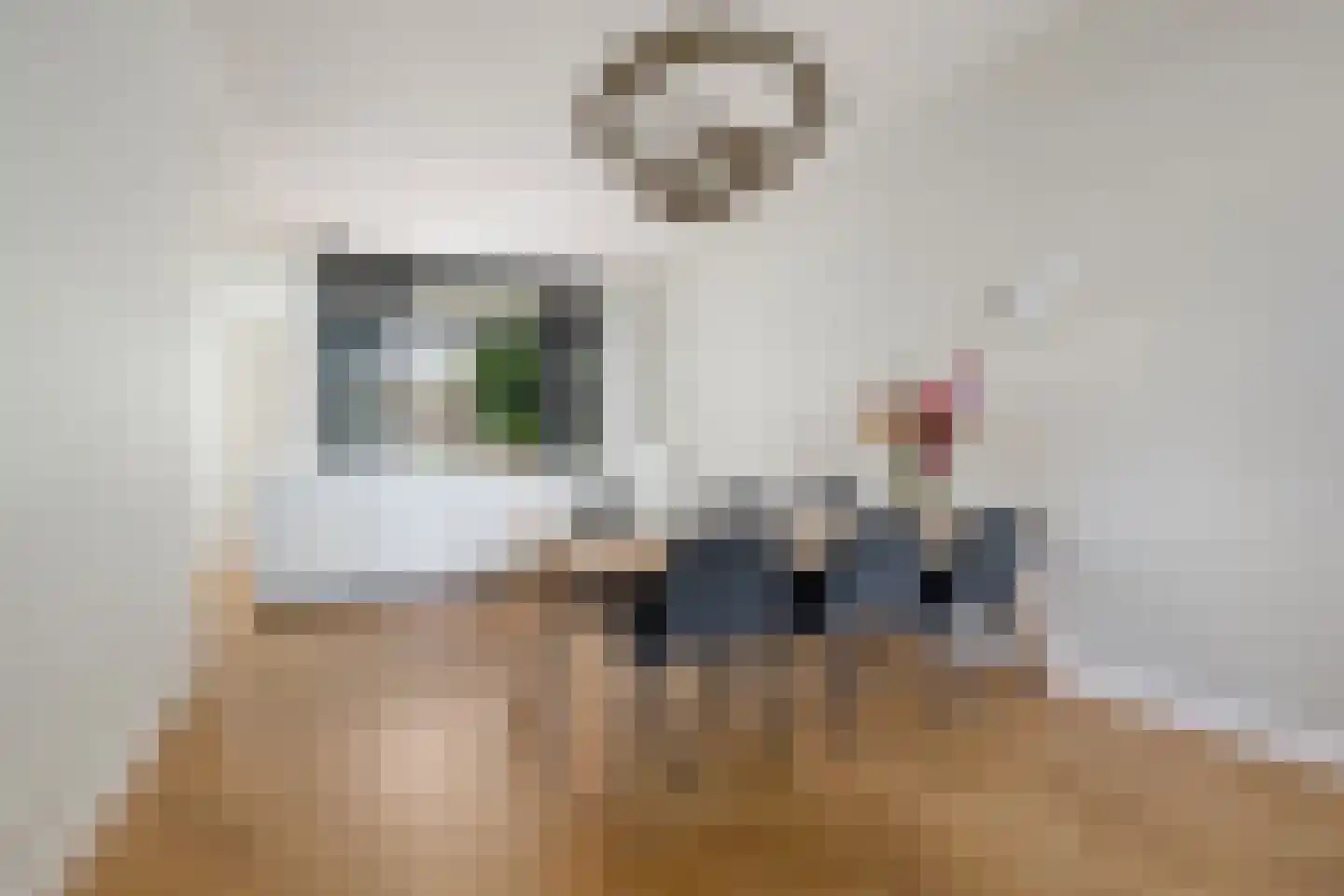 Kralingse Plaslaan 90 Rotterdam thumbnail 9