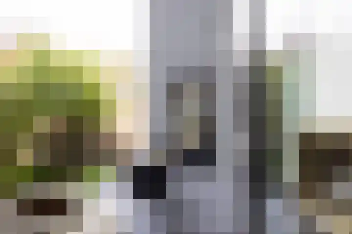 Kralingse Plaslaan 99 Rotterdam thumbnail 28