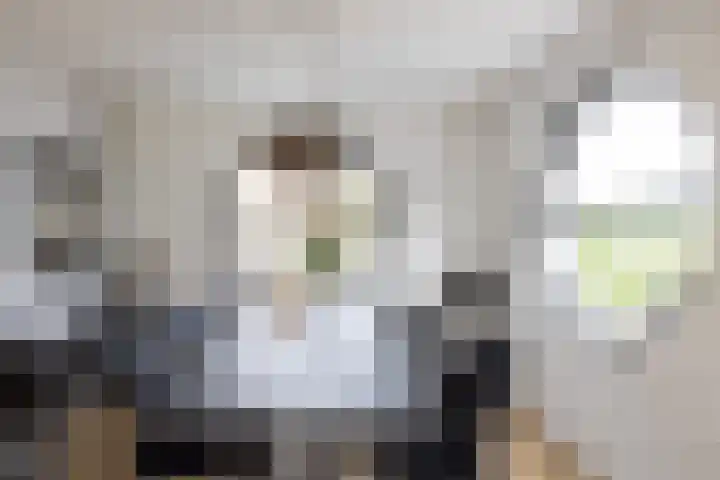 Kralingse Plaslaan 99 Rotterdam thumbnail 7