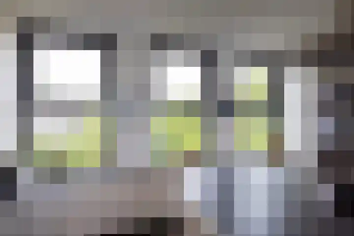 Kralingse Plaslaan 99 Rotterdam thumbnail 9