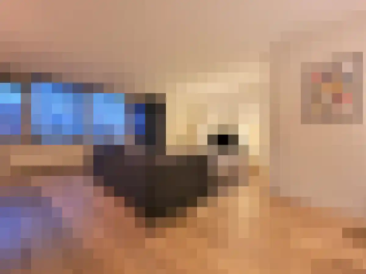 Kralingseweg 1 Rotterdam thumbnail 5