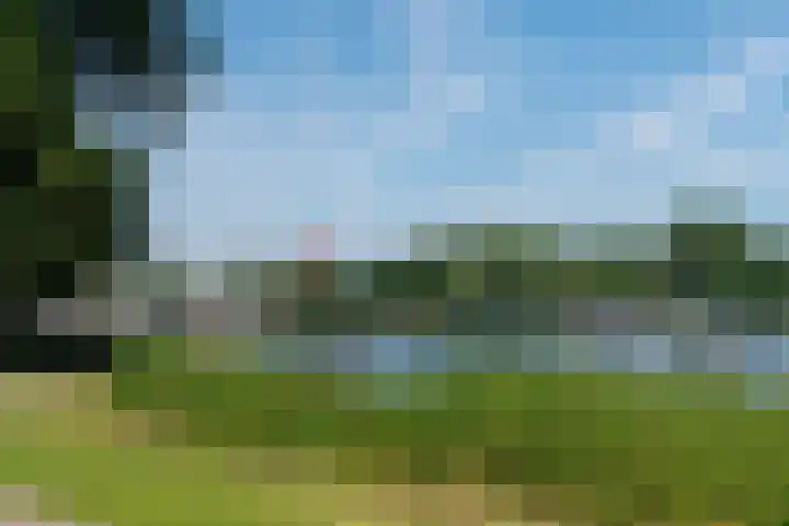 Kralingseweg 11 D Rotterdam thumbnail 35