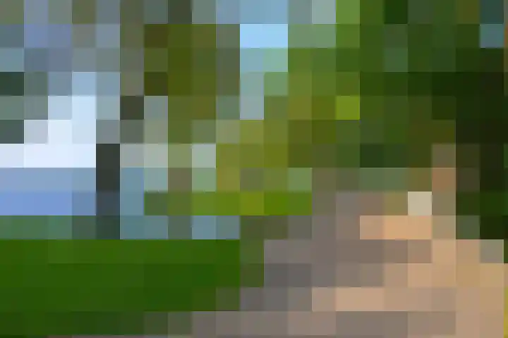 Kralingseweg 11 D Rotterdam thumbnail 36