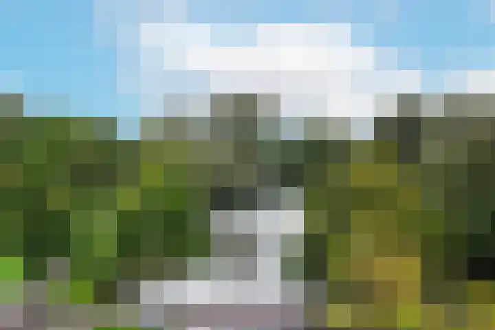 Kralingseweg 11 D Rotterdam thumbnail 9
