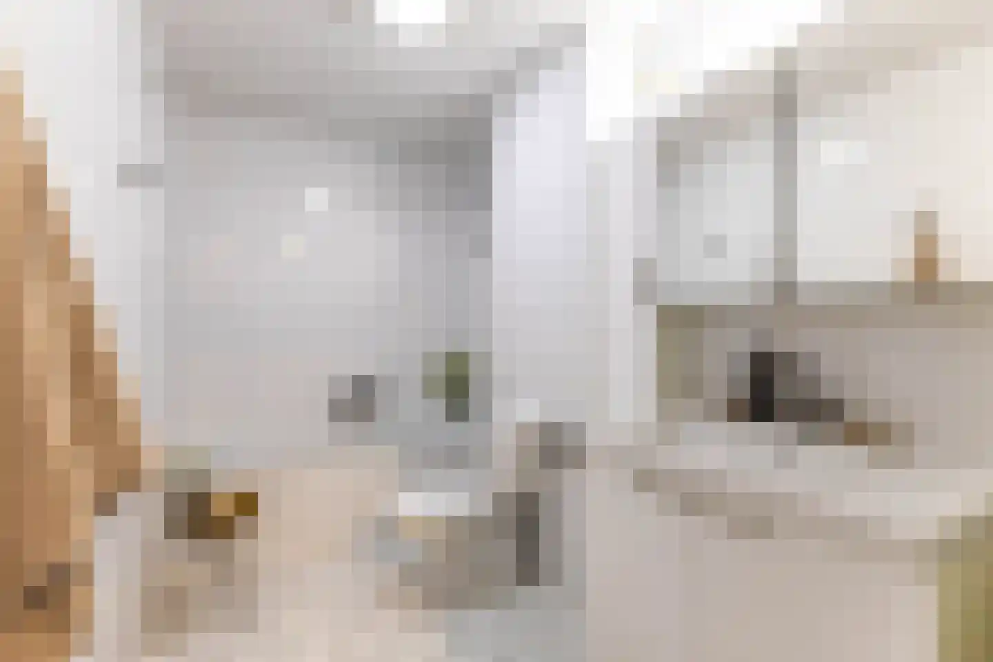 Kralingseweg 13 D Rotterdam thumbnail 23