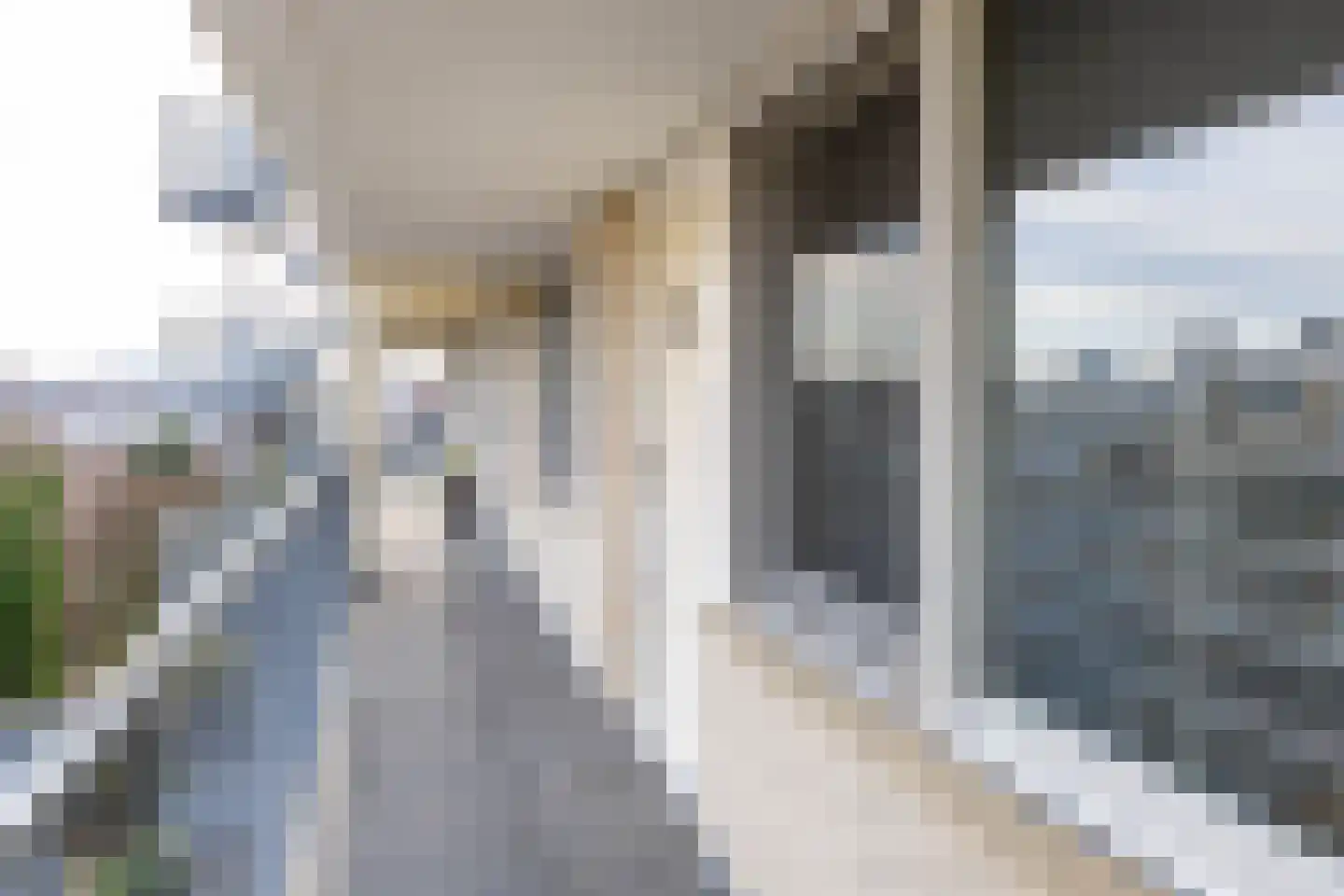 Kralingseweg 13 D Rotterdam thumbnail 25