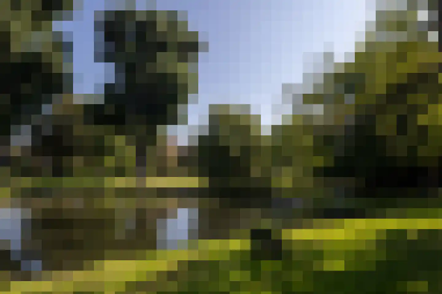 Kralingseweg 13 D Rotterdam thumbnail 28