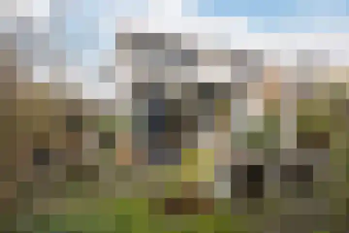 Kralingseweg 259 Rotterdam thumbnail 25
