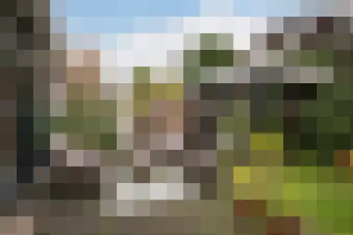 Kralingseweg 259 Rotterdam thumbnail 27