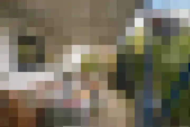 Kralingseweg 259 Rotterdam thumbnail 31