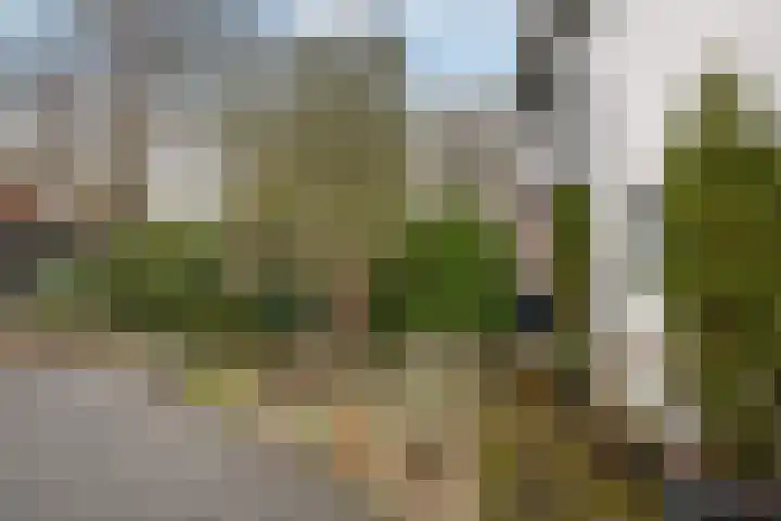 Kralingseweg 259 Rotterdam thumbnail 33