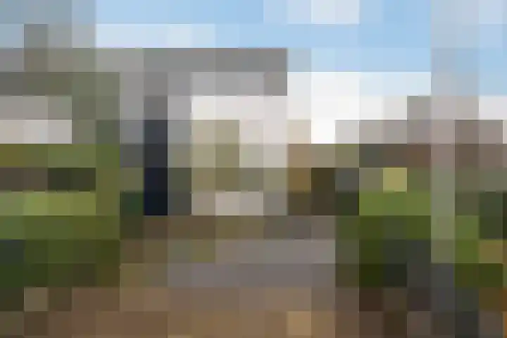 Kralingseweg 259 Rotterdam thumbnail 34