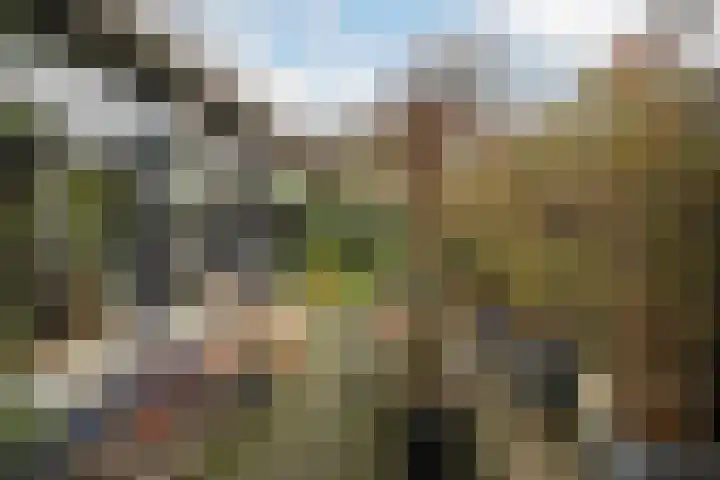 Kralingseweg 259 Rotterdam thumbnail 37