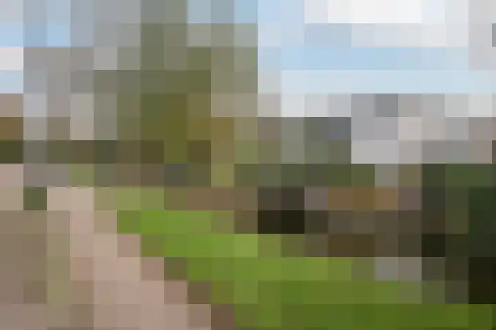 Kralingseweg 259 Rotterdam thumbnail 41