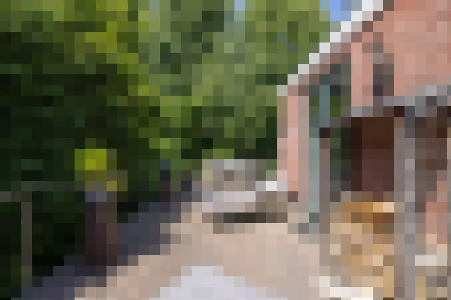 Kralingseweg 262 C Rotterdam thumbnail 38