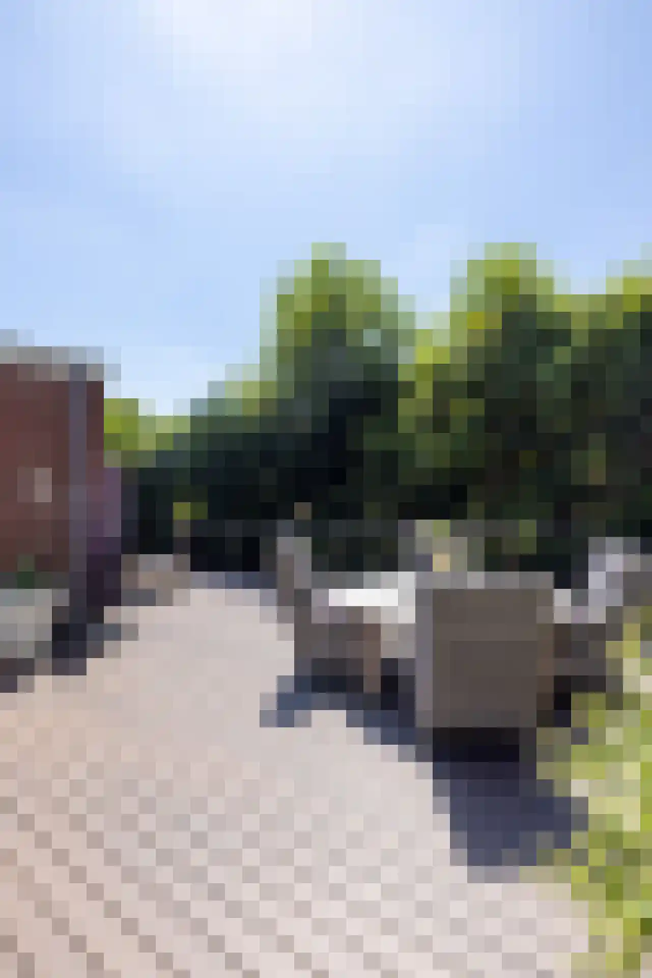 Kralingseweg 262 C Rotterdam thumbnail 42