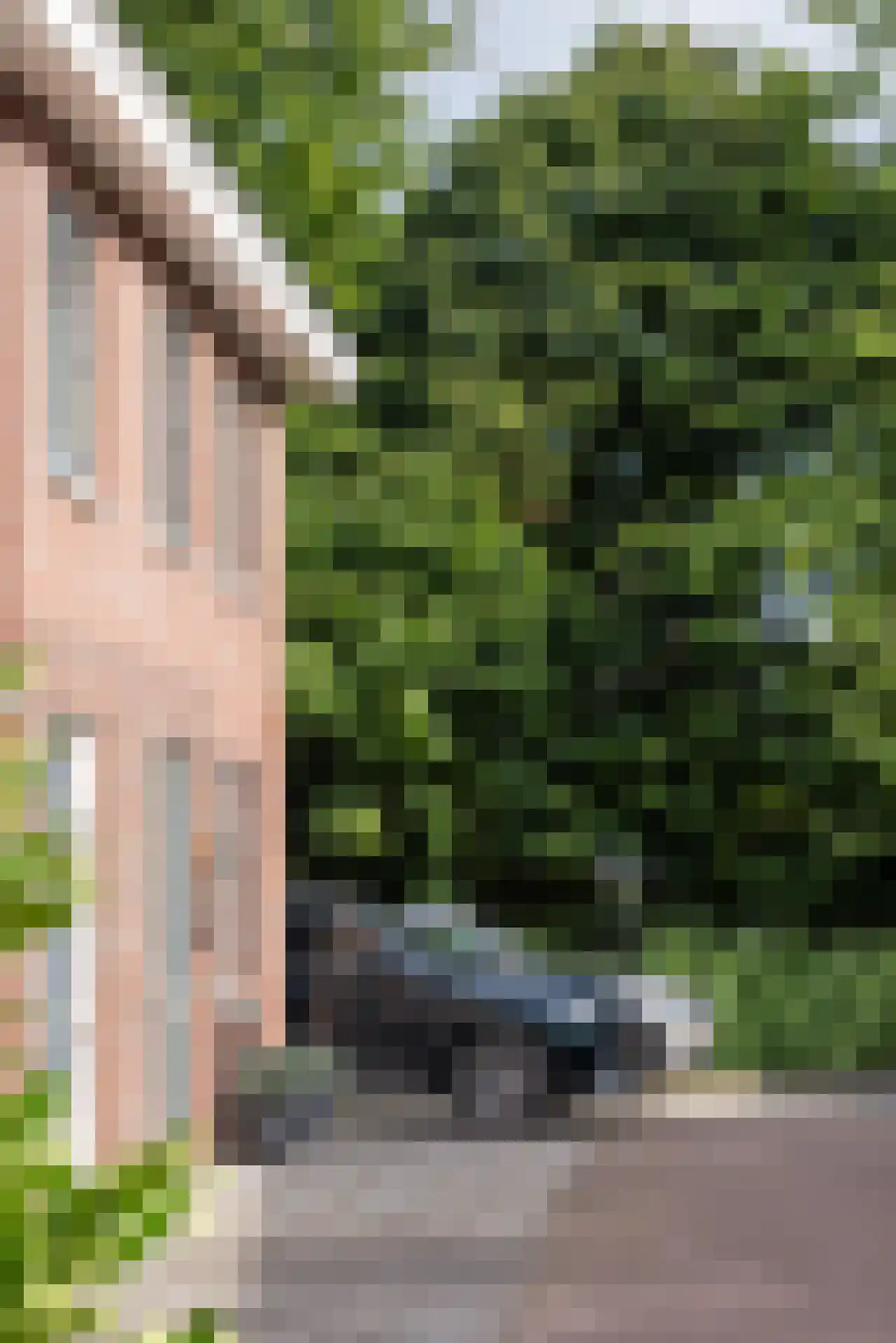 Kralingseweg 262 C Rotterdam thumbnail 45