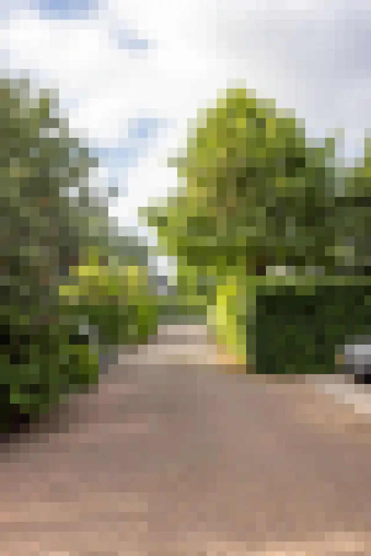 Kralingseweg 262 C Rotterdam thumbnail 46