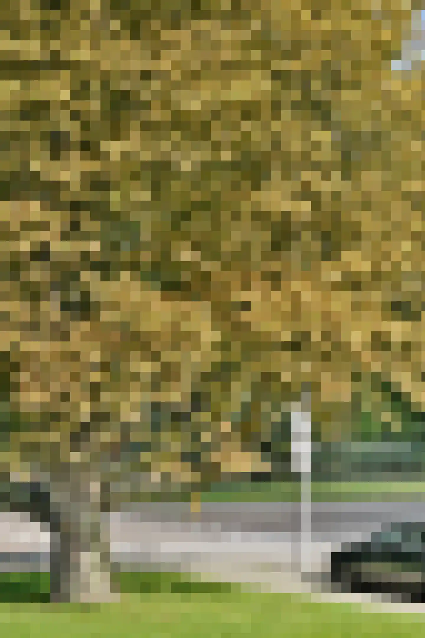 Kralingseweg 3 C Rotterdam thumbnail 26