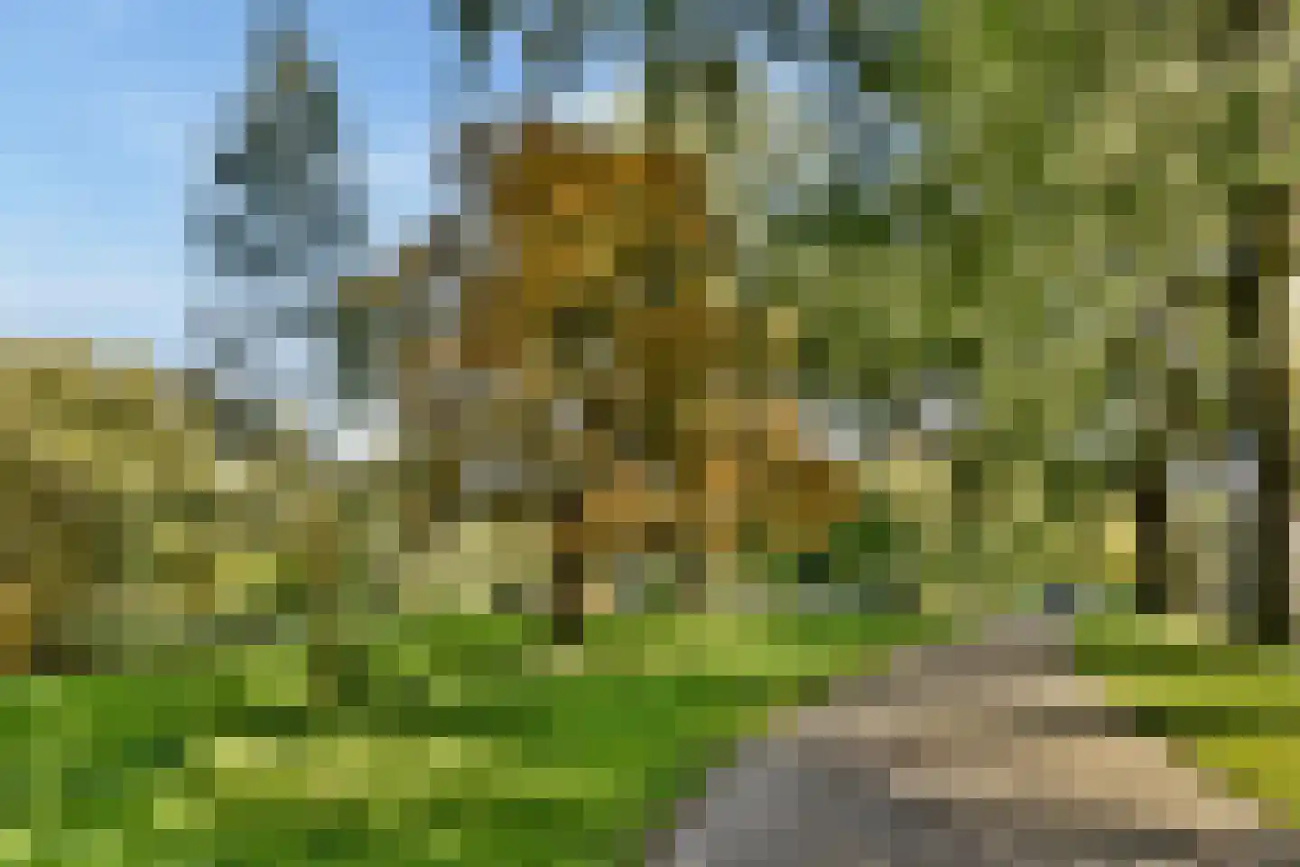 Kralingseweg 3 C Rotterdam thumbnail 33