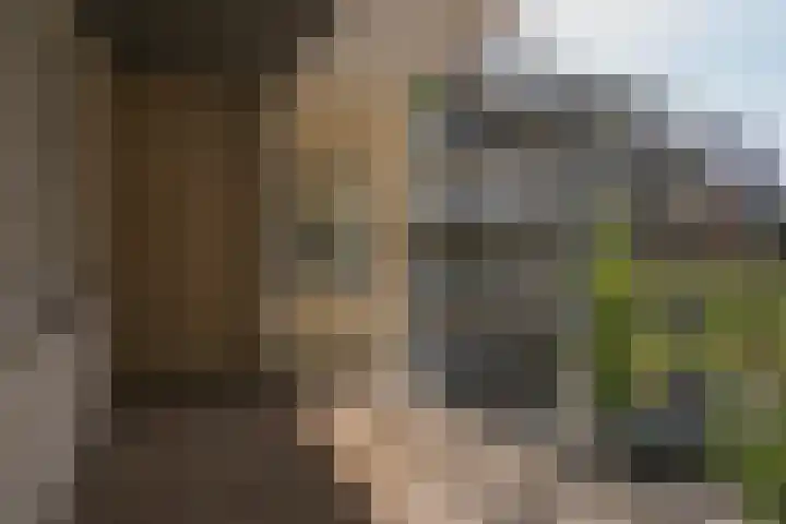Kralingseweg 3 D Rotterdam thumbnail 23