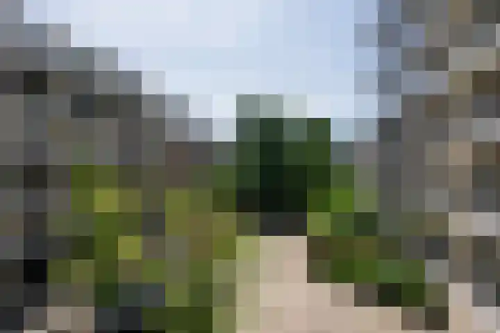 Kralingseweg 3 D Rotterdam thumbnail 24