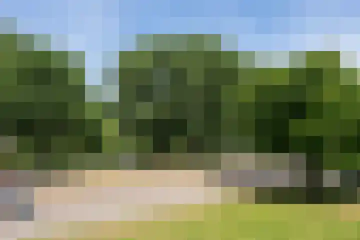 Kralingseweg 3 D Rotterdam thumbnail 26