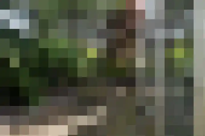Kralingseweg 330 Rotterdam thumbnail 10