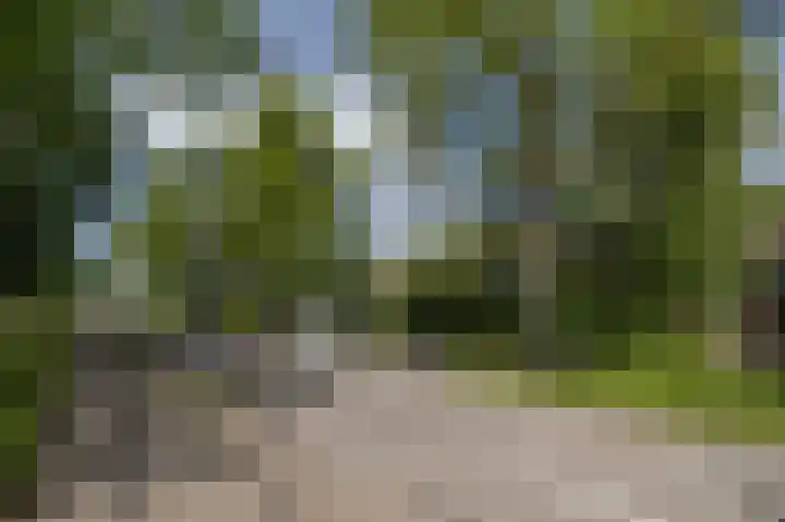 Kralingseweg 330 Rotterdam thumbnail 31