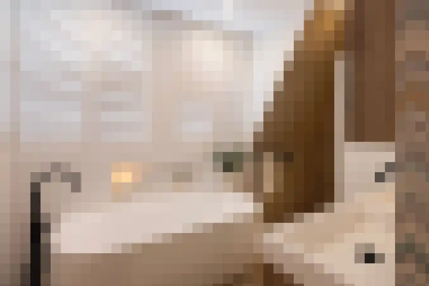 Kralingseweg 353 E Rotterdam thumbnail 10