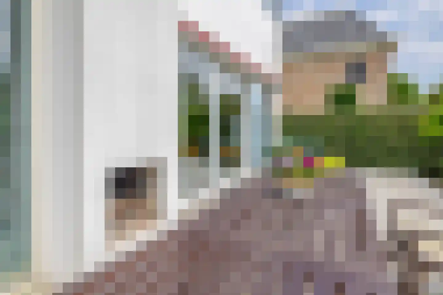Kralingseweg 371 Rotterdam thumbnail 26