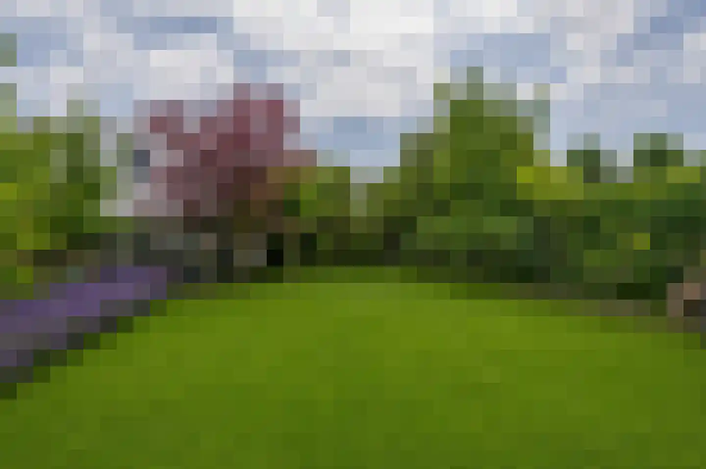 Kralingseweg 371 Rotterdam thumbnail 29