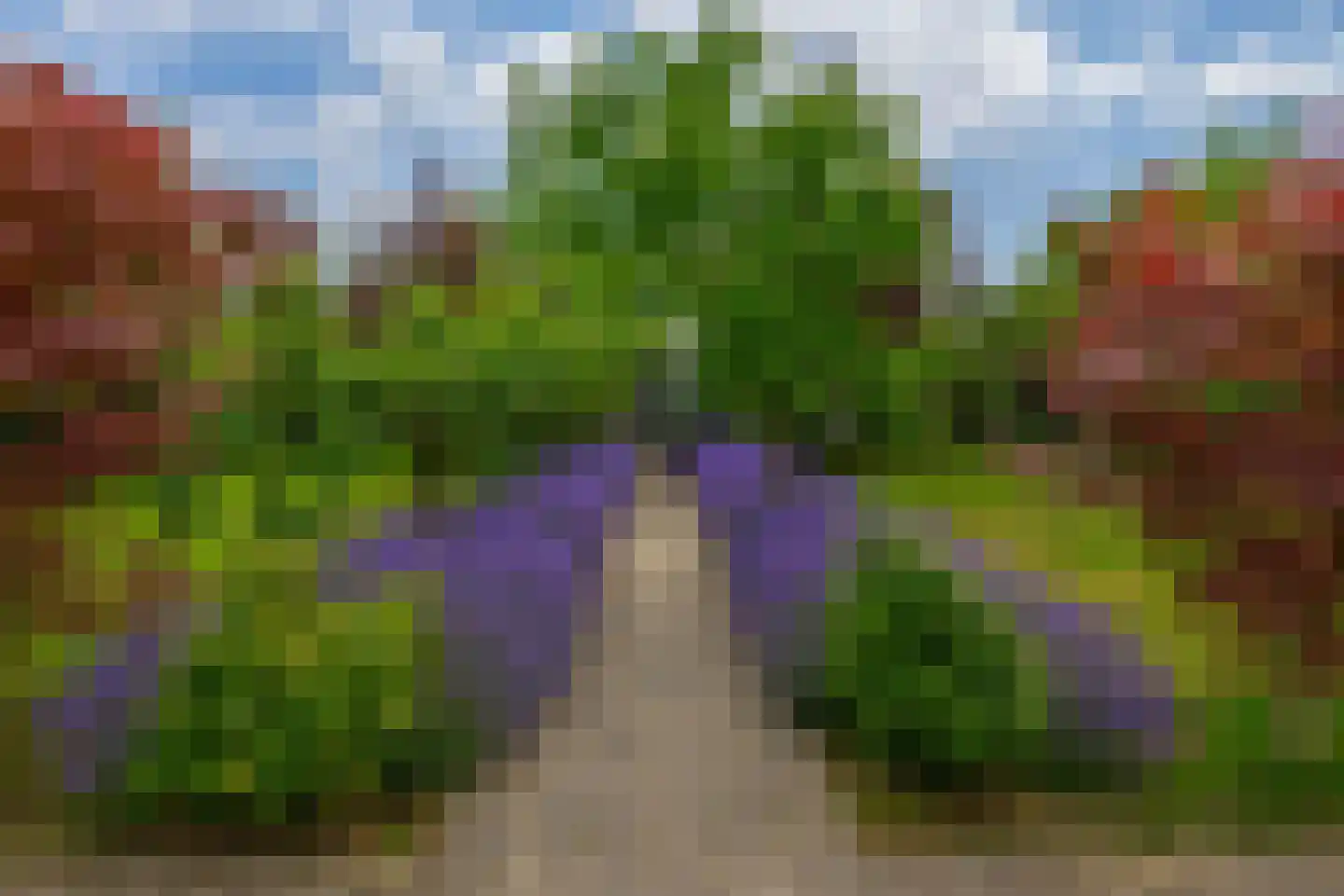 Kralingseweg 371 Rotterdam thumbnail 4