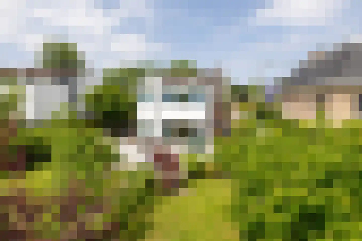 Kralingseweg 371 Rotterdam thumbnail 5