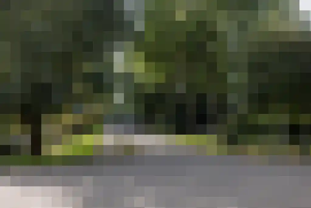 Kralingseweg 431 Rotterdam thumbnail 4