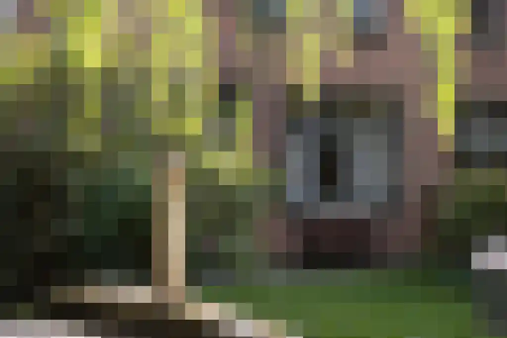 Kralingseweg 431 Rotterdam thumbnail 7