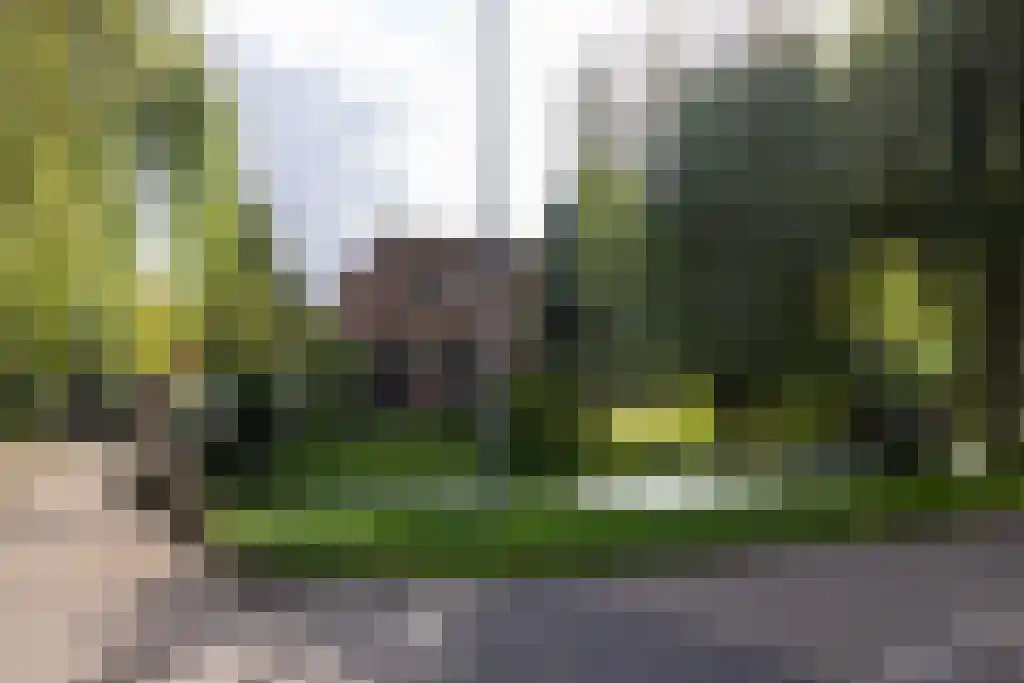 Kralingseweg 431 Rotterdam thumbnail 9