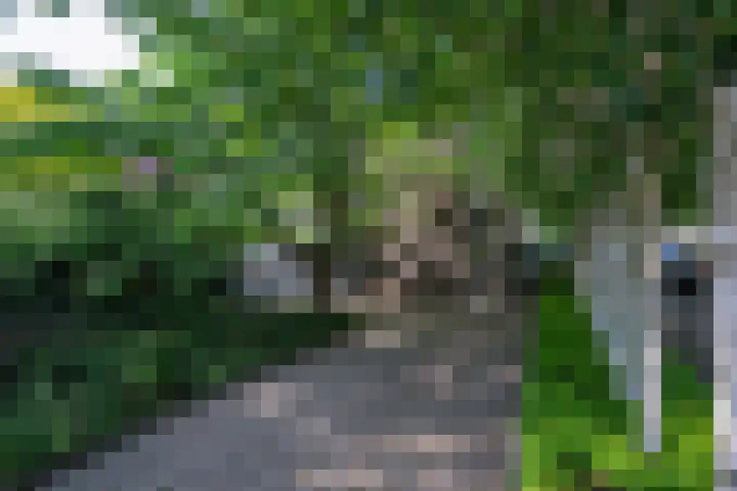 Kralingseweg 432 Rotterdam thumbnail 47