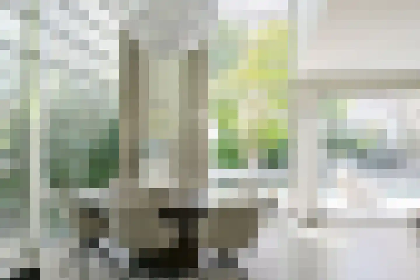 Kralingseweg 432 Rotterdam thumbnail 9